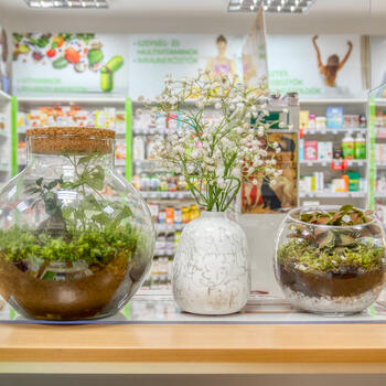 Budaörsi gyógyszertár – Mitől más a Natura Patika Budaörs? 